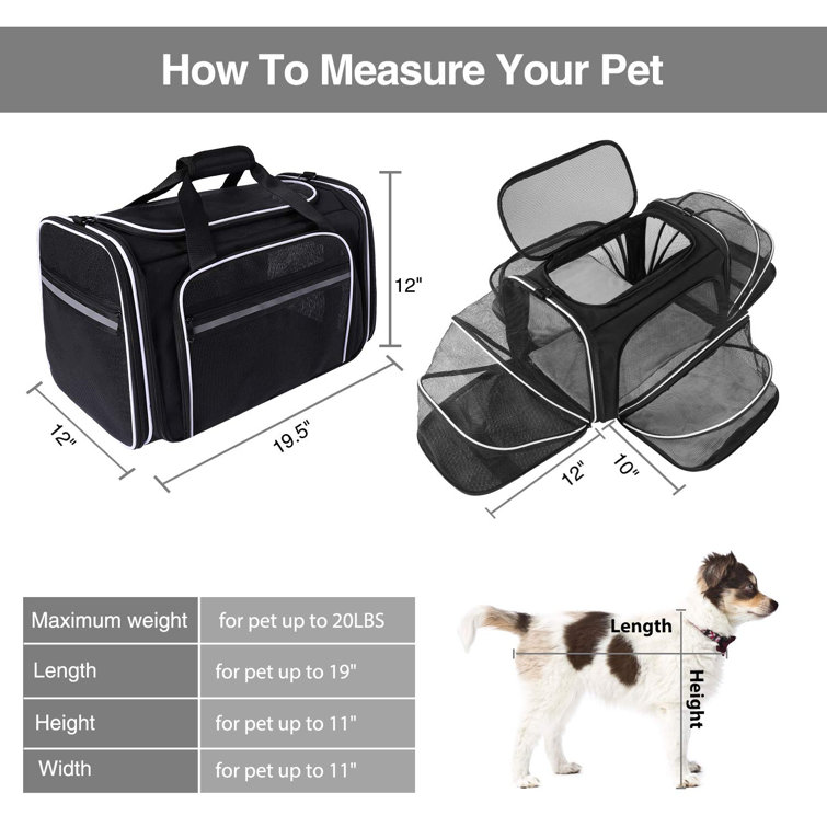 Wayfair pet on sale carrier